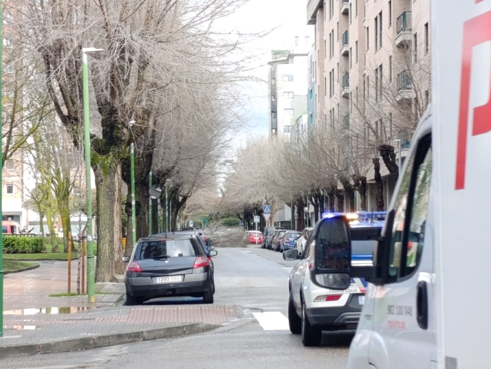 La borrasca Leonardo provoca nuevas incidencias en Burgos con ca&iacute;das de &aacute;rboles e inundaciones | Imagen 1