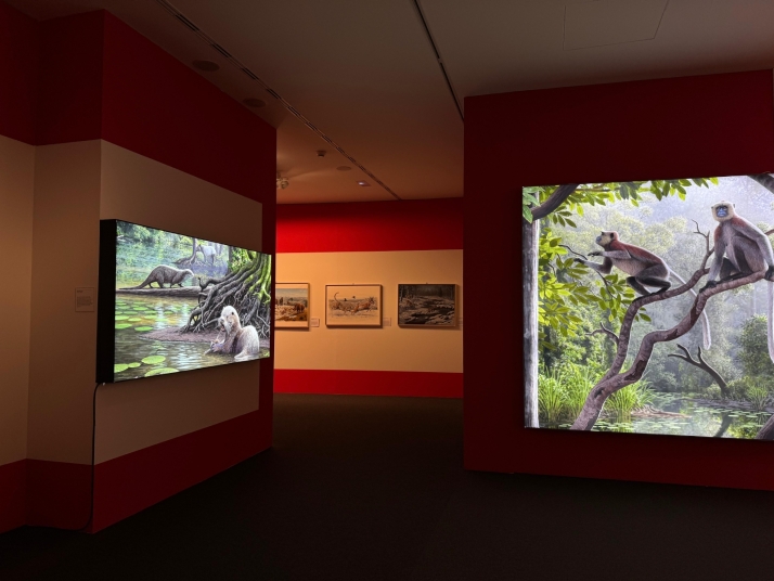 El paleoartista Mauricio Ant&oacute;n da vida a la prehistoria en el Museo de la Evoluci&oacute;n Humana | Imagen 1