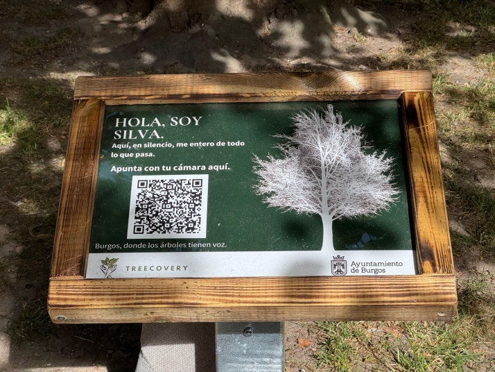 Los &aacute;rboles de Burgos comienzan a contar sus historias a trav&eacute;s de c&oacute;digos QR | Imagen 1