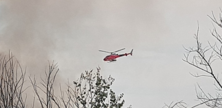 Un incendio de rastrojos moviliza a los servicios de emergencia en la carretera de Arcos de Burgos | Imagen 1