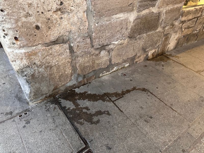 La suciedad campa a sus anchas por las calles de Burgos | Imagen 6