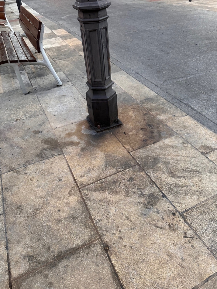 La suciedad campa a sus anchas por las calles de Burgos | Imagen 4