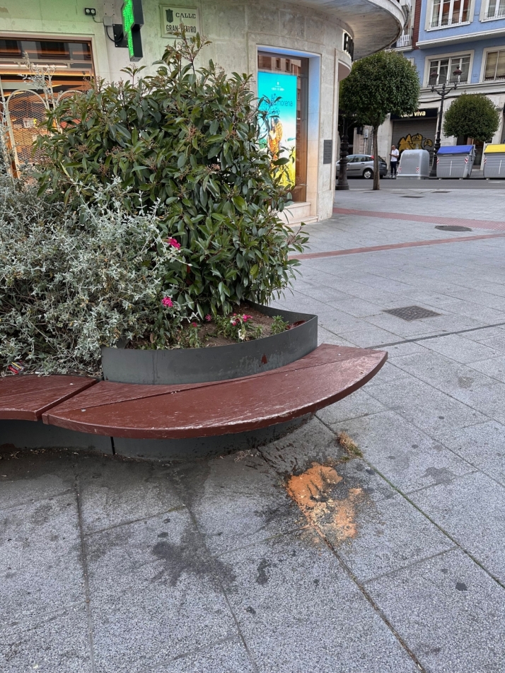 La suciedad campa a sus anchas por las calles de Burgos | Imagen 2