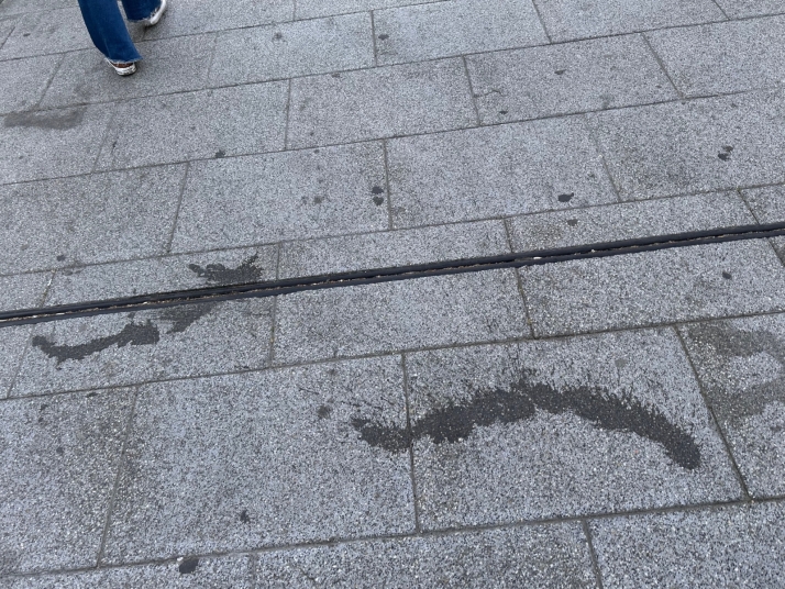 La suciedad campa a sus anchas por las calles de Burgos | Imagen 3